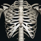 Top 30 Education Apps Like Bones 3D (Anatomy) - Best Alternatives