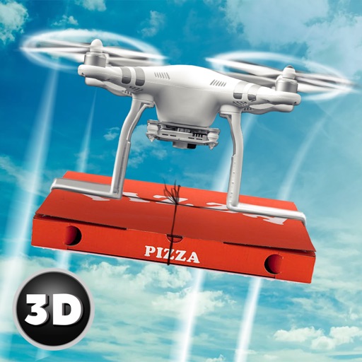 RC Drone Pizza Delivery Flight Simulator Icon