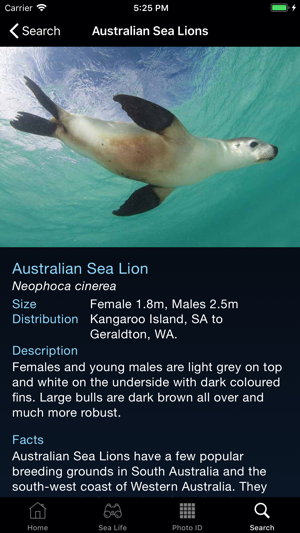 Sea Life Australia(圖5)-速報App