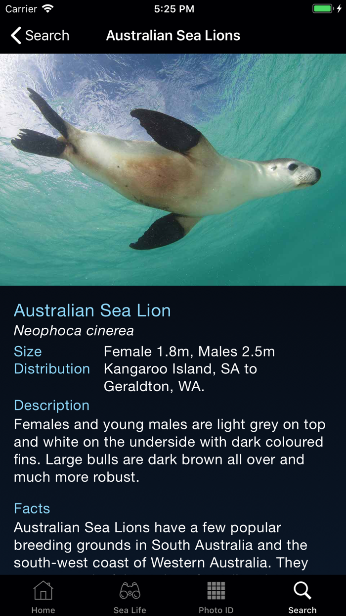 Sea Life Australia