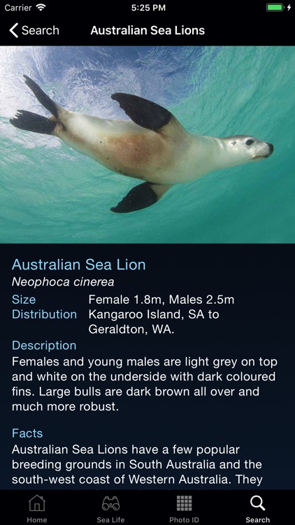 Sea Life Australia screenshot-4