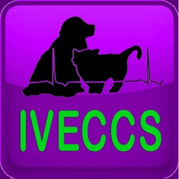 IVECCS 2018