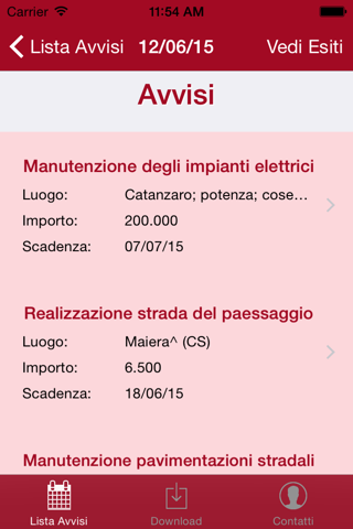 Infoplus - Bandi di gara 2015 screenshot 3