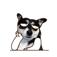 Husky Dog Animated Stickers