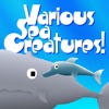 Various Sea Creatures!