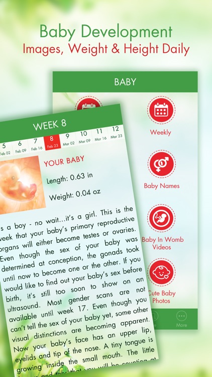 Pregnancy Tracker Pro