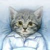 ぐっすり~ニャ/睡眠記録