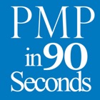 PMP® in 90 Seconds
