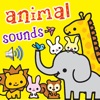 Learning Wild Animal Sounds wild animal sounds 