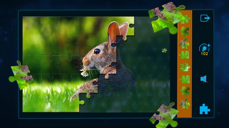 Jigsaw Puzzles Classic screenshot-3