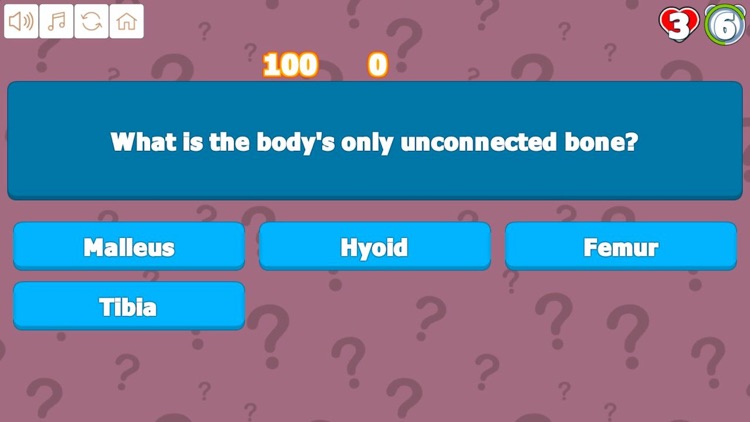 Quiz Your Body