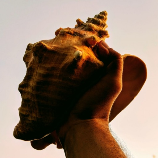 Conch Rule
