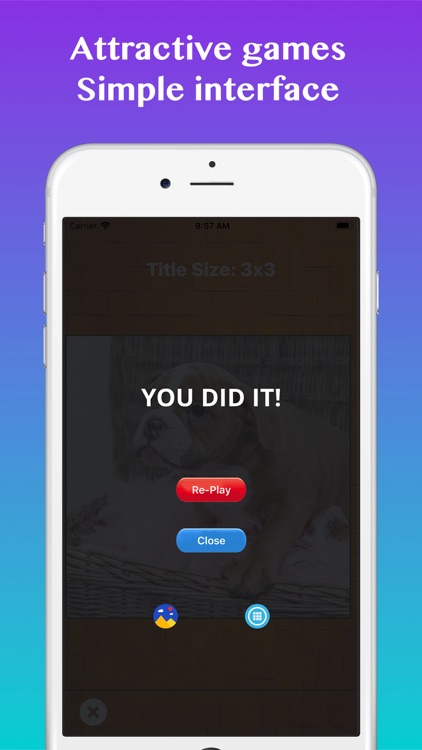 Puzzle: Slide & Jigsaw Game