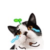 Katty Animated Stickers