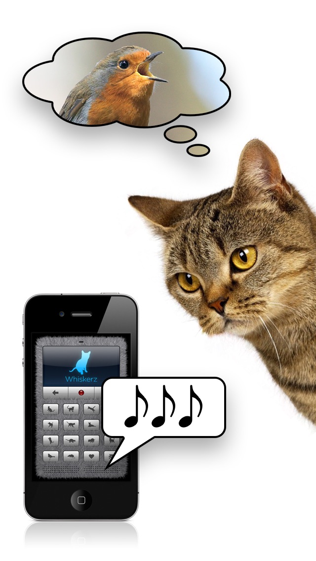 人猫語翻訳機・デラックス screenshot1