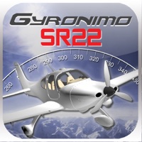 Cirrus SR22 pour PC