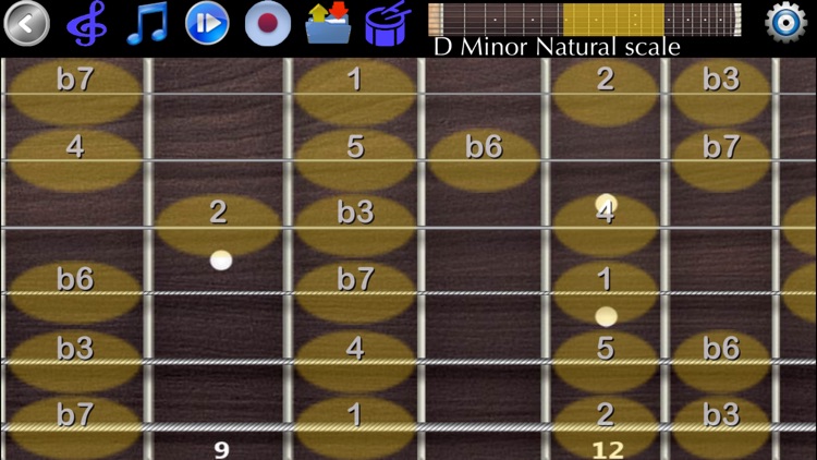 Guitar Scales & Chords Pro screenshot-3