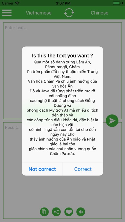 Vietnamese-Chinese Translator screenshot-7