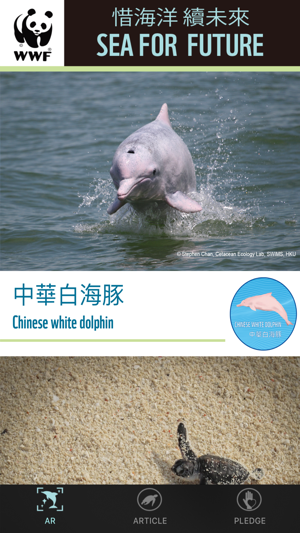 Sea For Future(圖3)-速報App