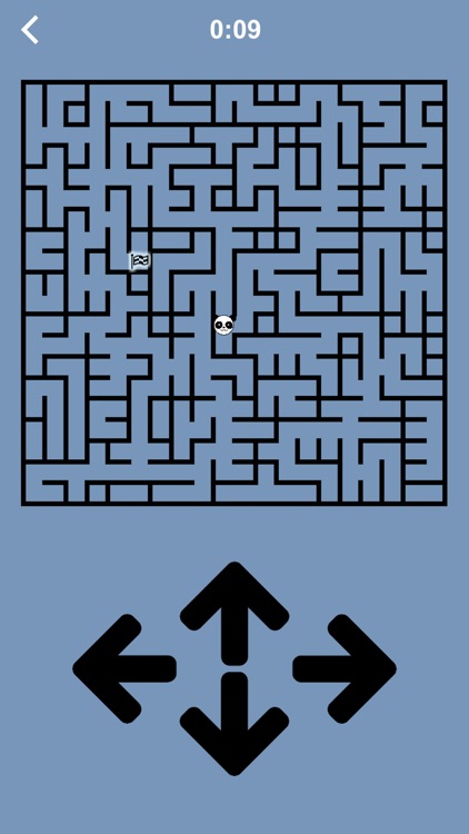 The Maze Race screenshot-5