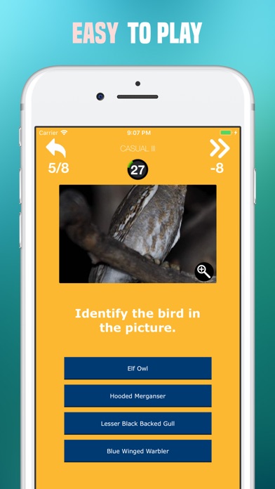 Birds Quiz - Birding Trivia screenshot 4