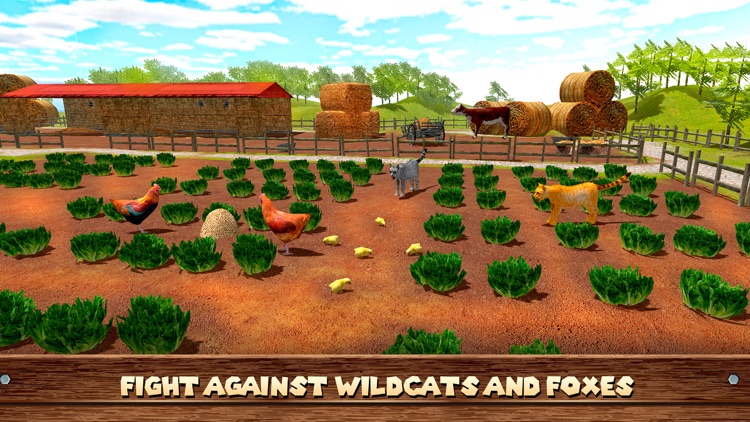 Farm Chicken Survival Sim 3D screenshot-3