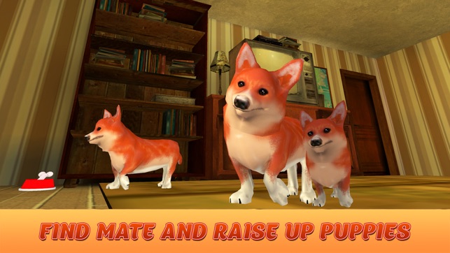 Corgi Stray Dog Simulator(圖2)-速報App