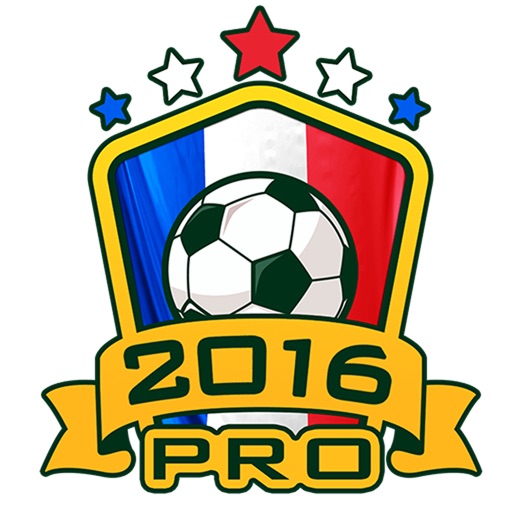 Euro 2016 Manager Pro