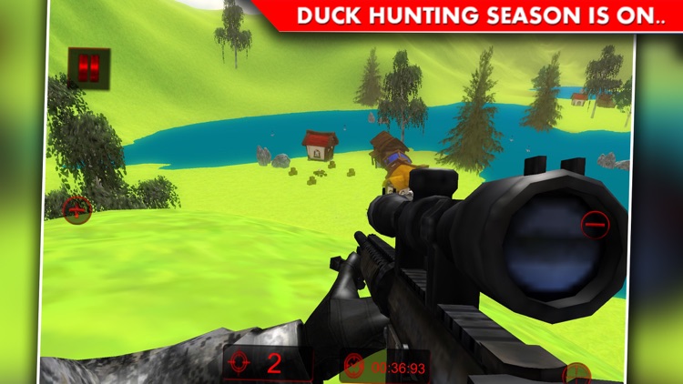 Duck Hunting Adventure