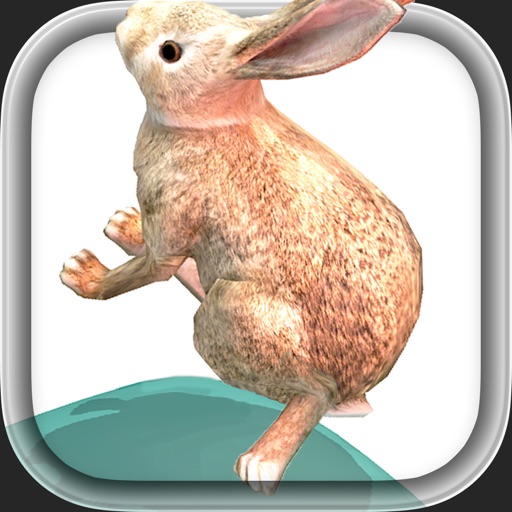 BunnyHop Endless iOS App
