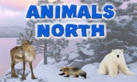 Animals North