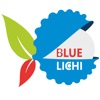Blue Lichi web design agencies 