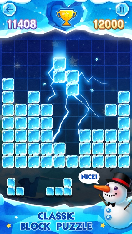 Block Puzzle Ice screenshot-0