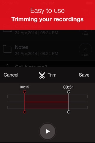 Voice Recorder Plus Pro screenshot 3