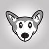 Animated Husky