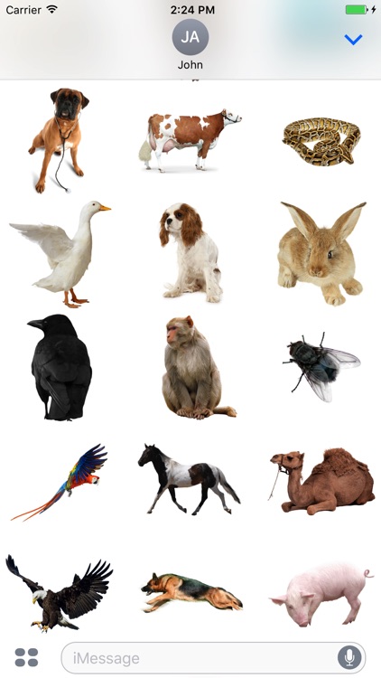 Animals Stickers Pro