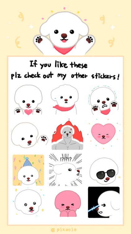 Yallet the bichon (taster)