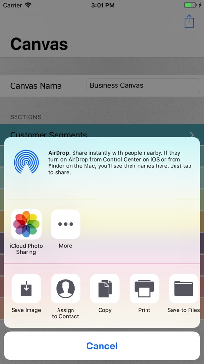 Business Canvas Remote screenshot-3
