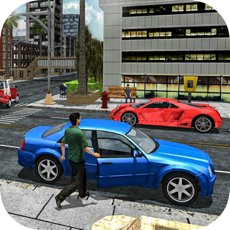 Activities of Real City Car Driving