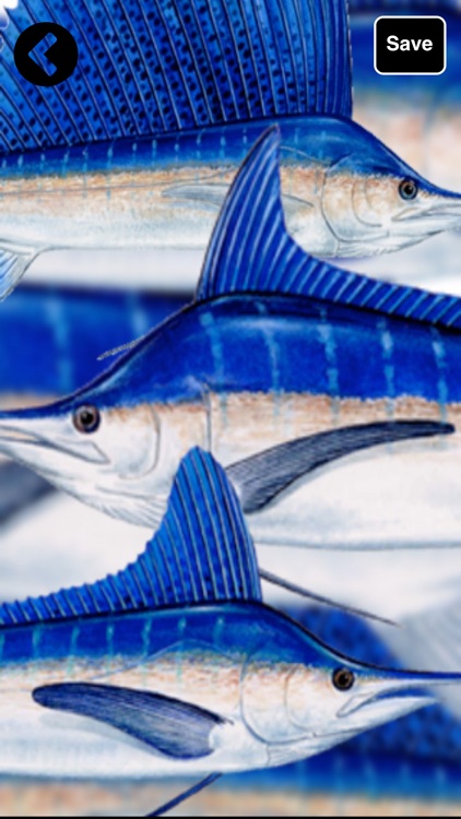 FishySkins - Fish Wallpaper screenshot-4