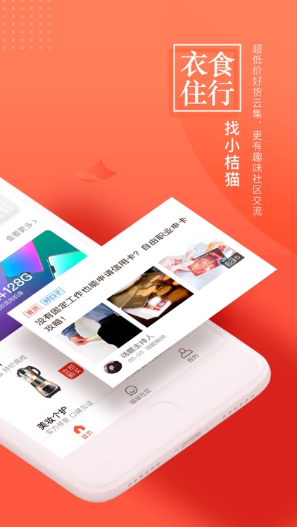 小桔猫