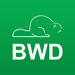 Академия BWD