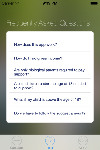 Child Support Calculator screenshot 4