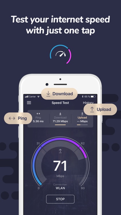 Speed Test: Network Ping Check