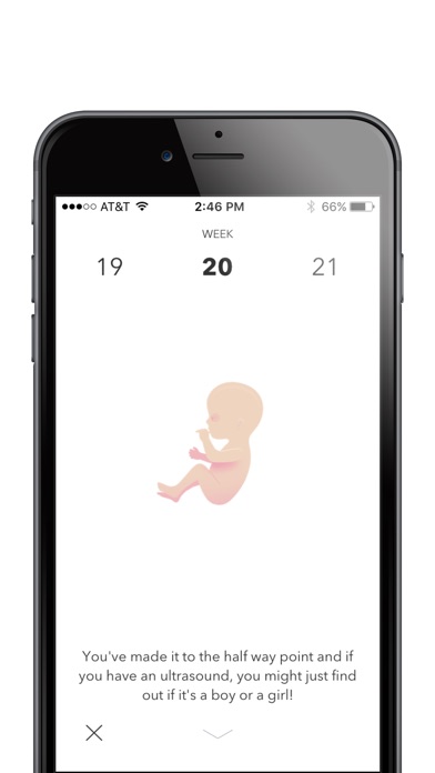 UW Baby screenshot 3