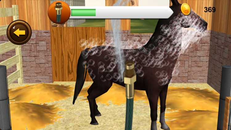 My horse hotel resorts