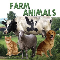 Activities of Farm animals...