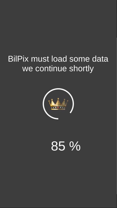 BilPix screenshot 4