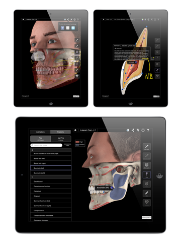 Dental Patient Education Lite screenshot 3