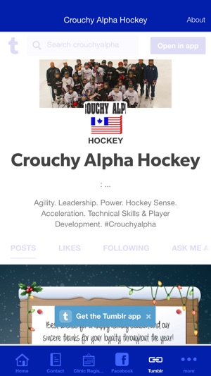 Crouchy Alpha Hockey(圖3)-速報App